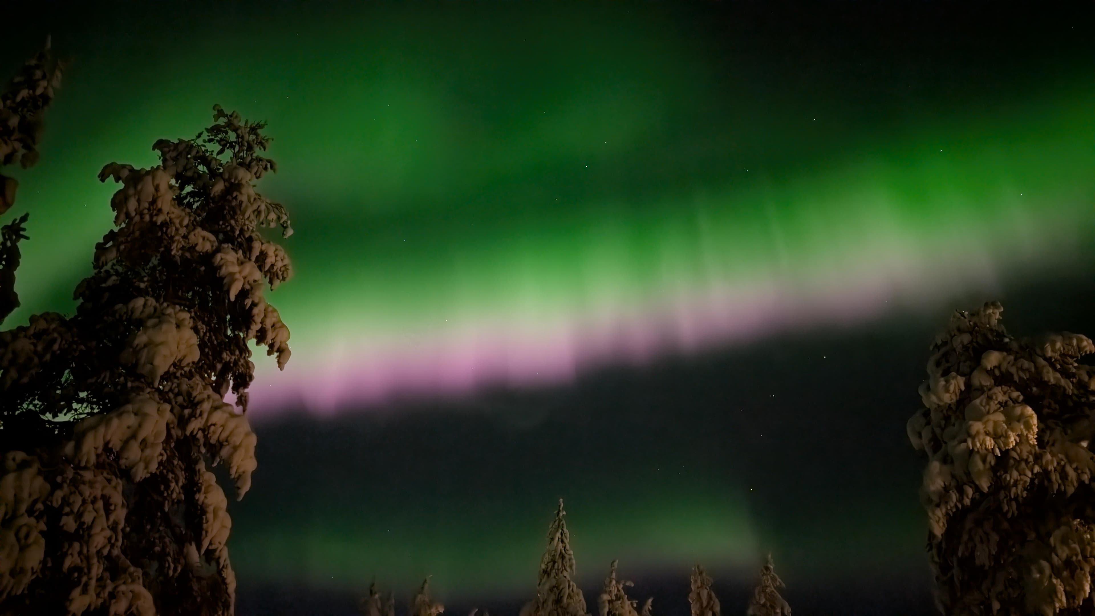 Northern Lights Hunting - Image 1
