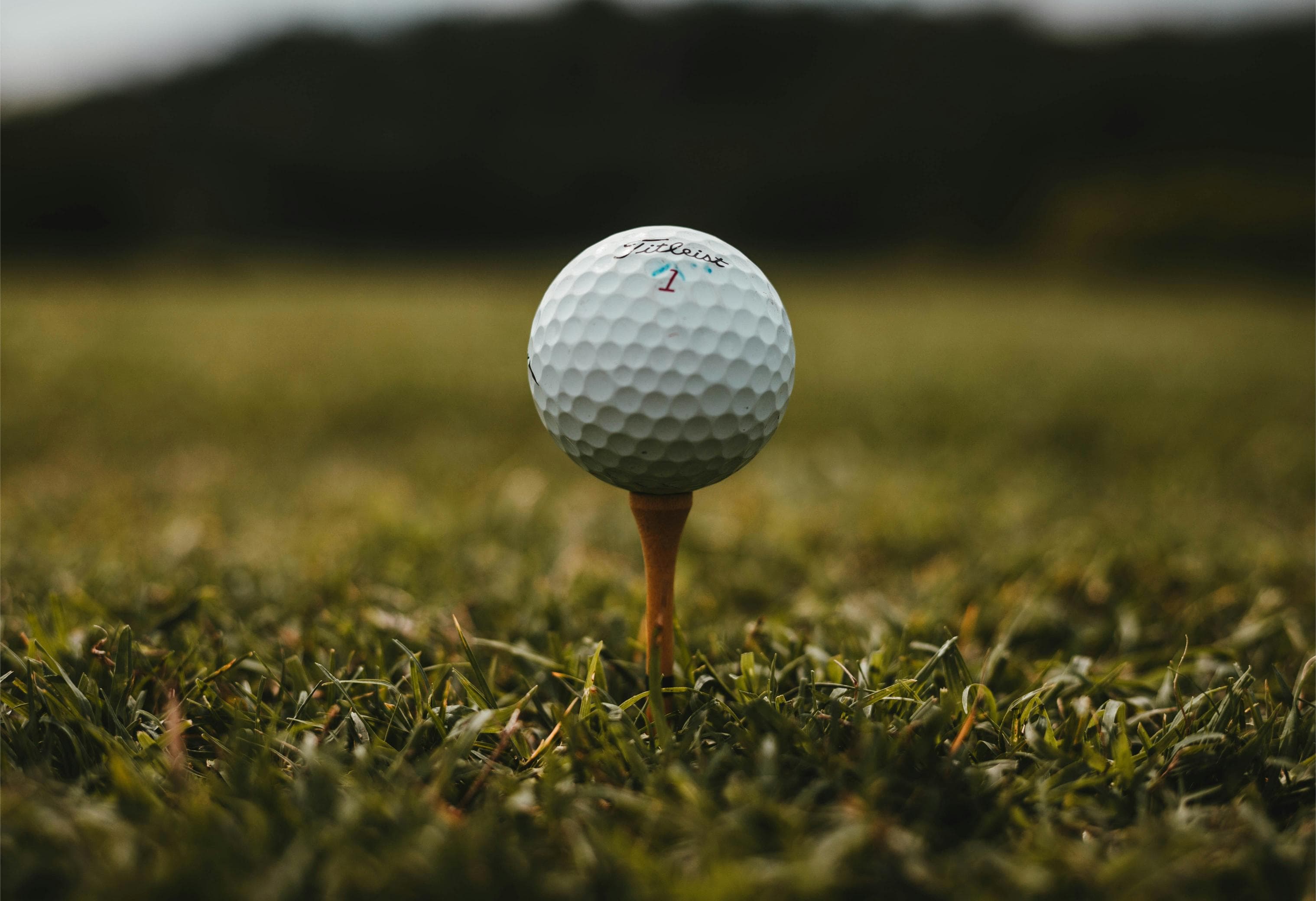 Golf - Image 1