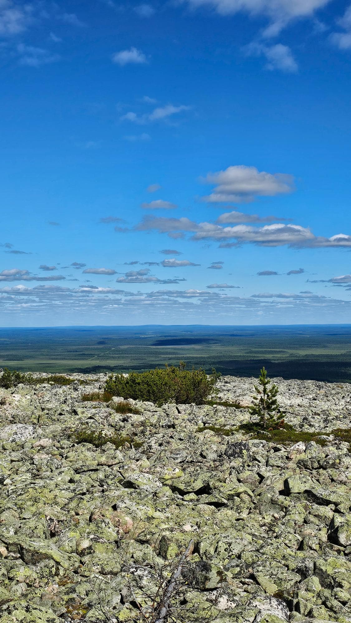 Hiking & Snowshoeing - Image 4